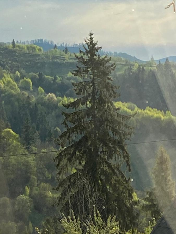 Шале Карпатська Казка スラブスク エクステリア 写真
